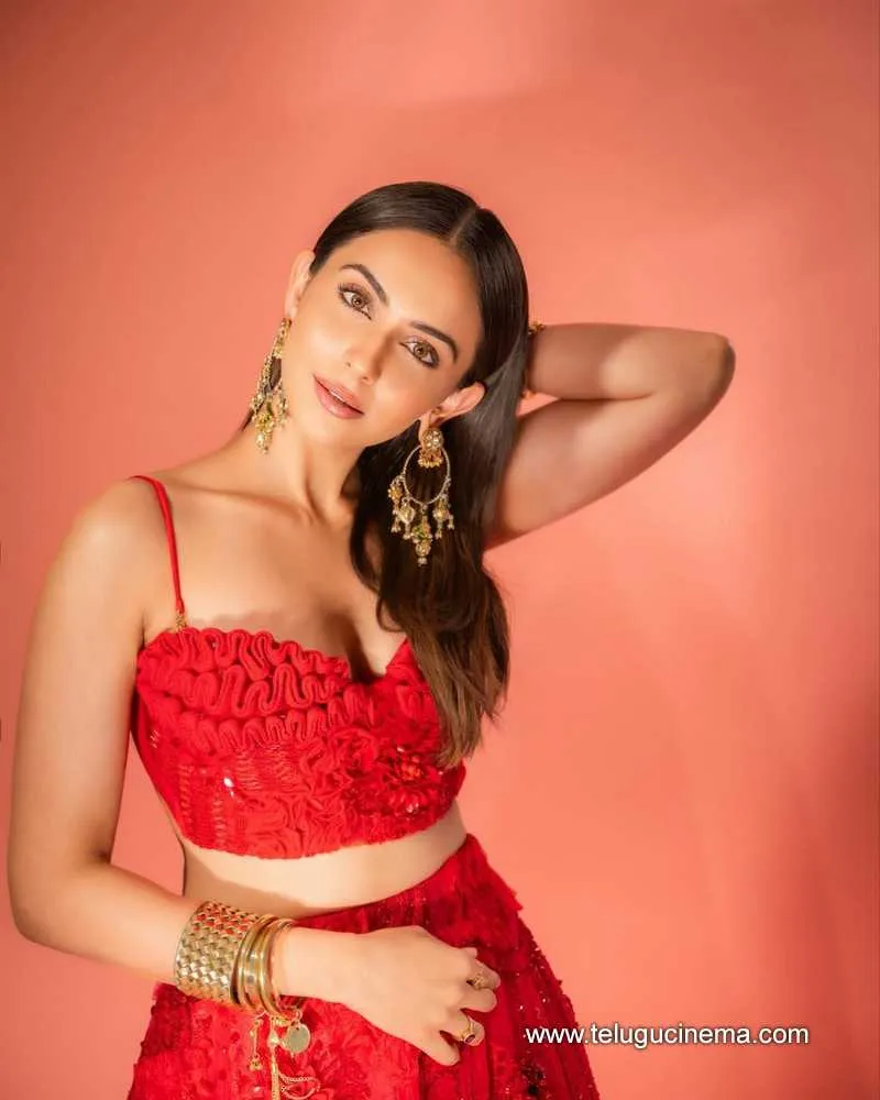Rakul Stills 01022400000001