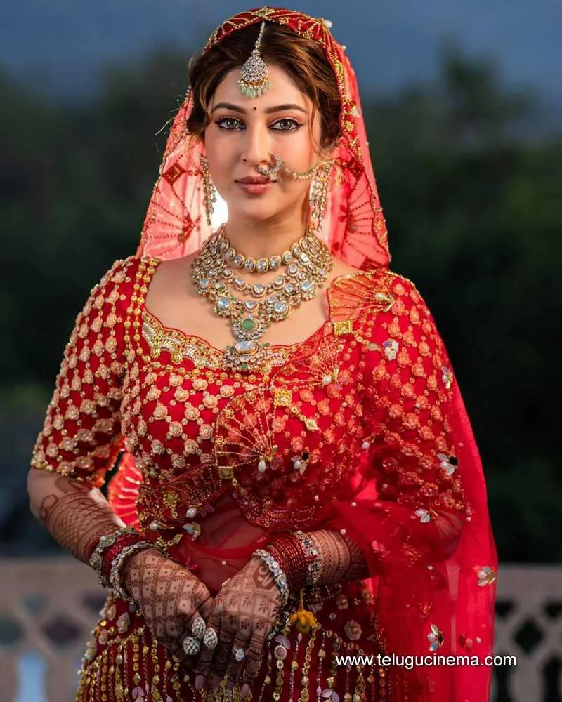 Sonarika Stills 22022400000001