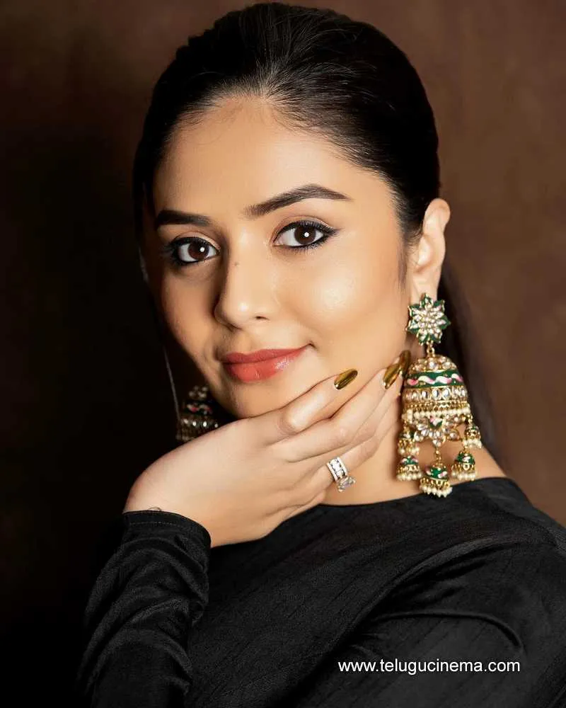 Sreemukhi Stills 01022400000001
