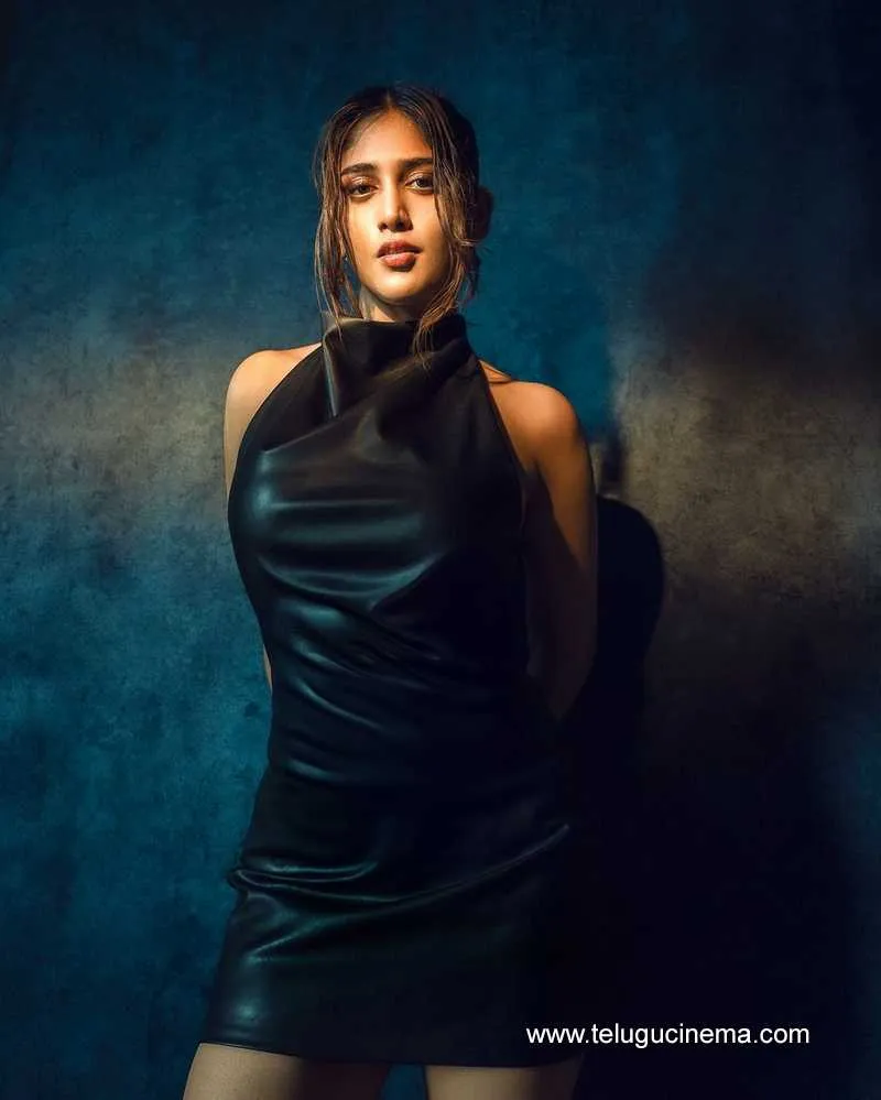 Chandini Stills 12032400000001