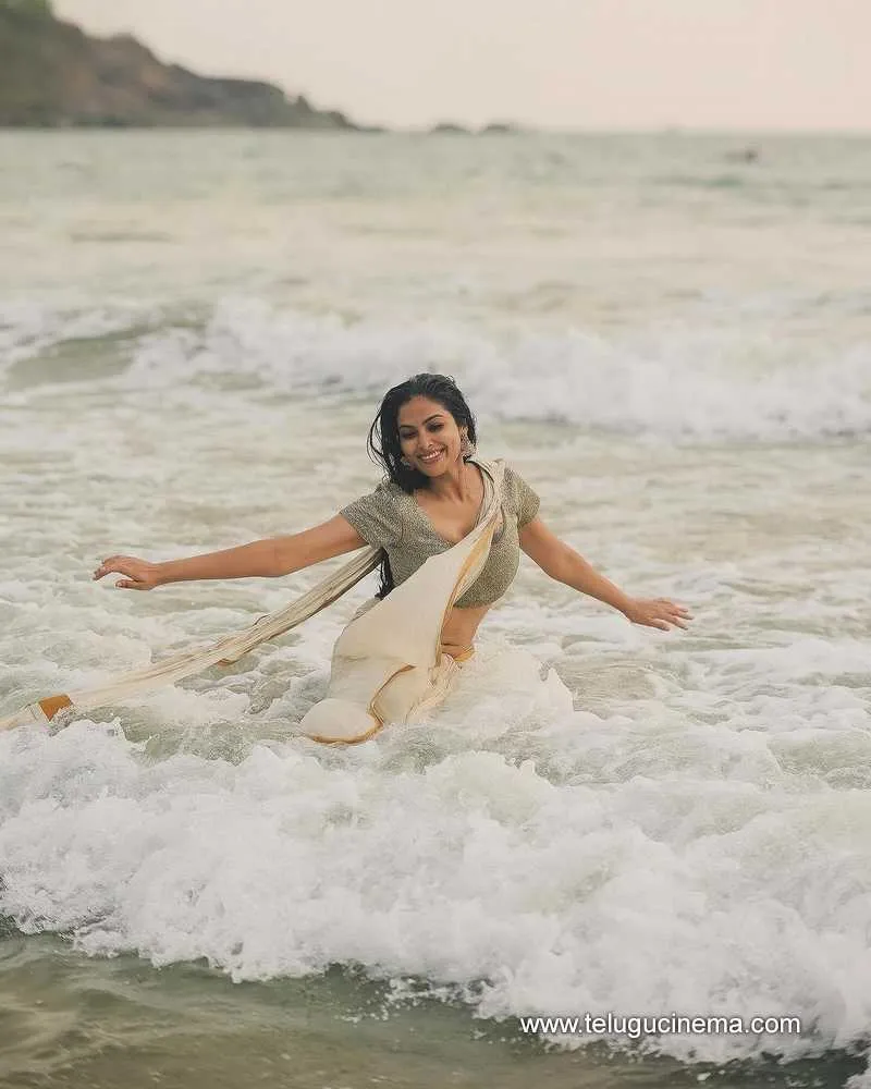 Divi Stills 21032400000001