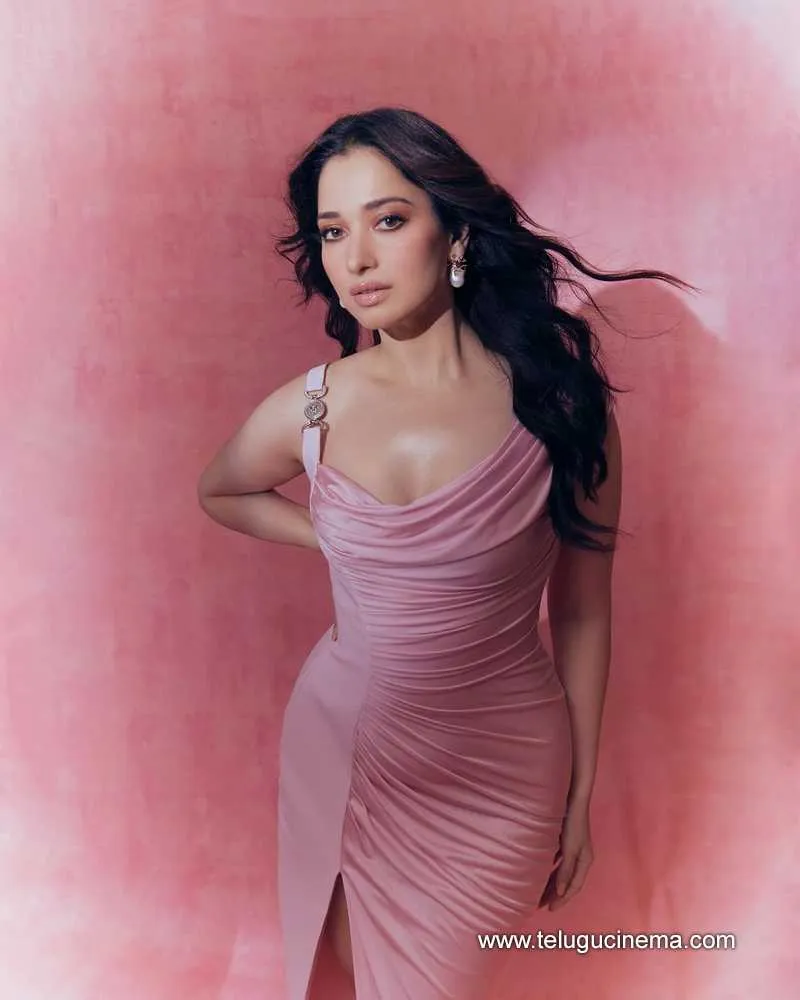 Tamannah Stills 20032400000001