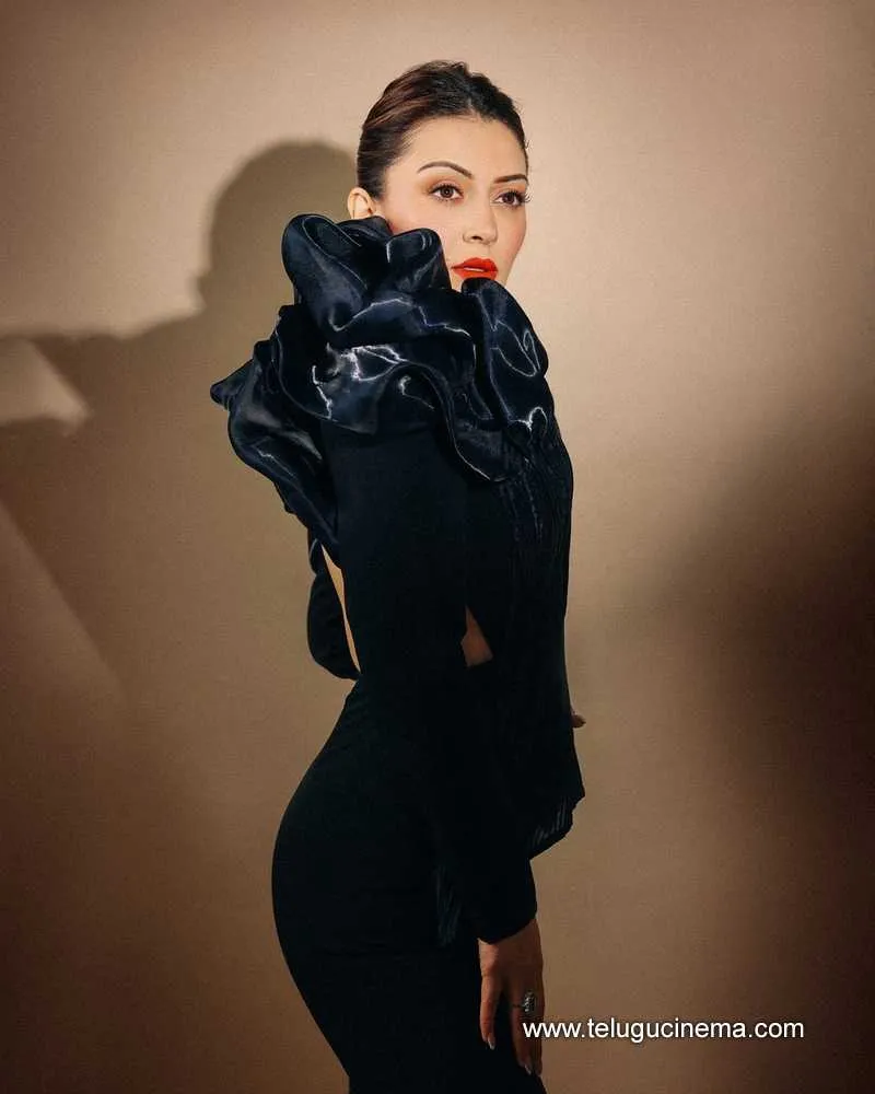 Hansika Stills 280524 01