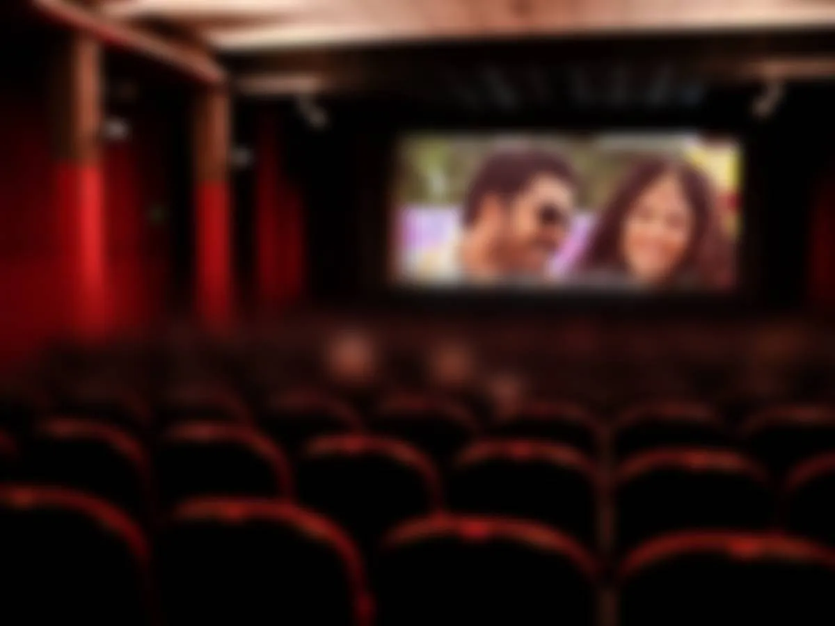Single Screen Theaters