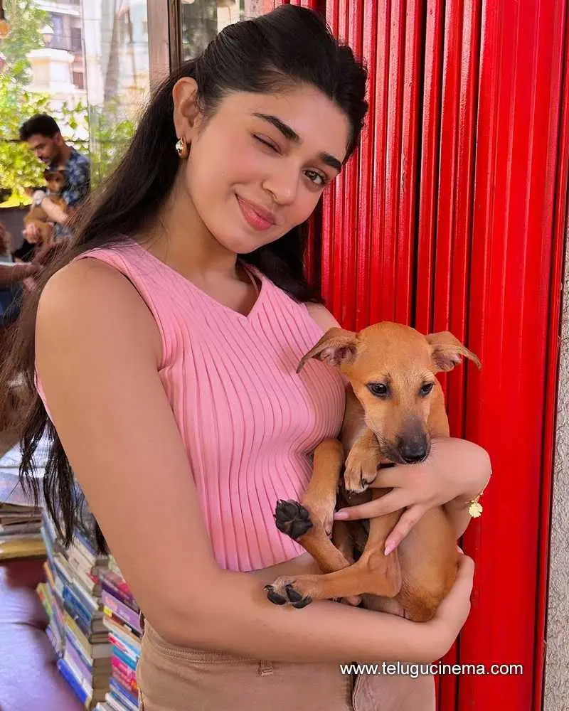 Kritishetty Stills 240624 01