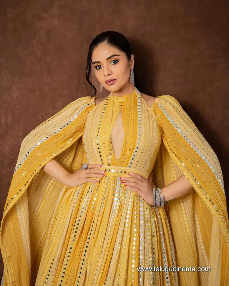 Sreemukhi Stills 220624 01