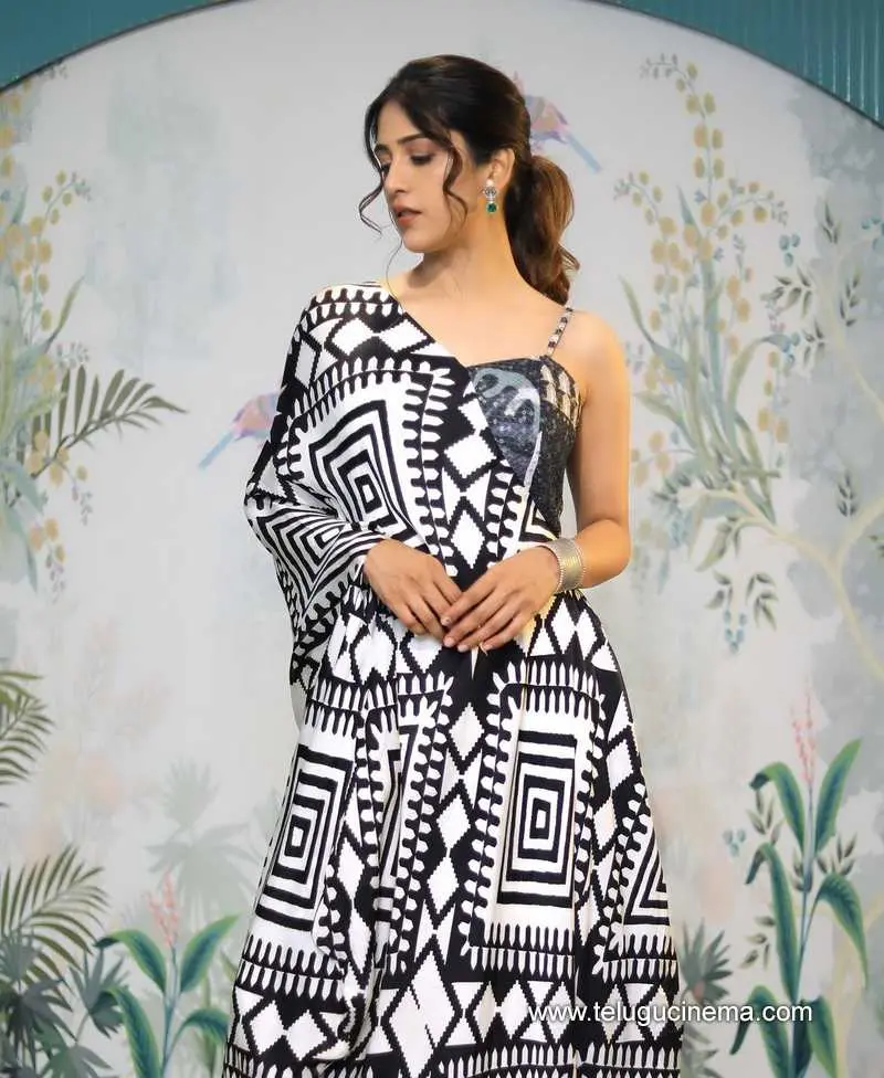 Chandini Stills 260724 01