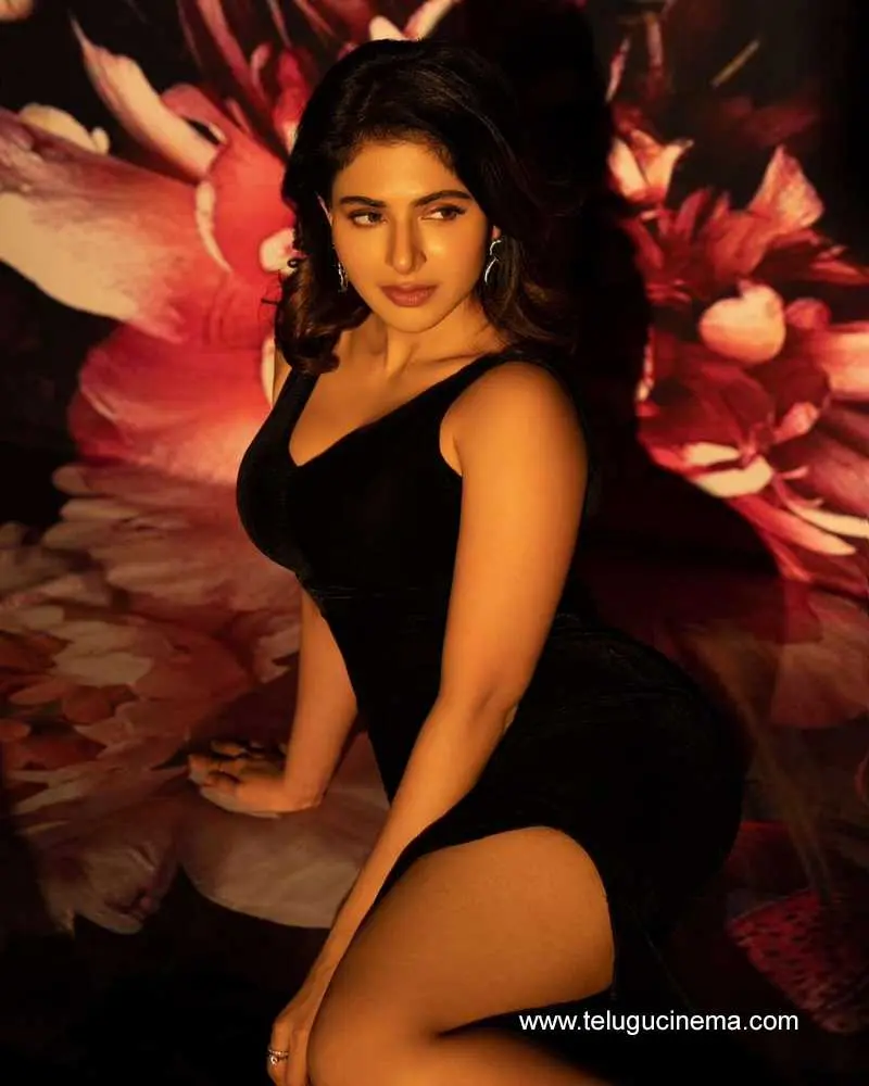 Iswarya Stills 150724 01