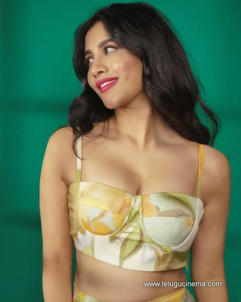Nabhanatesh Stills 190724 01