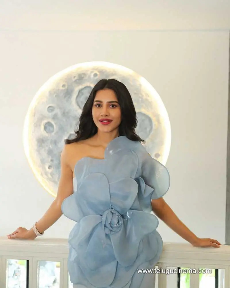Nabhanatesh Stills 310724 01