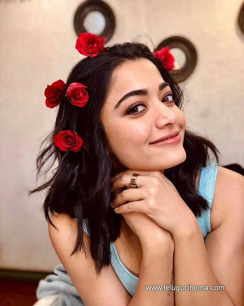 Rashmika Stills 160724 01