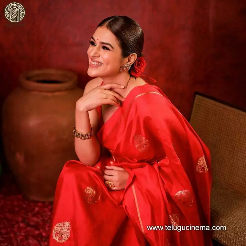 Shraddhdas Stills 300724 01