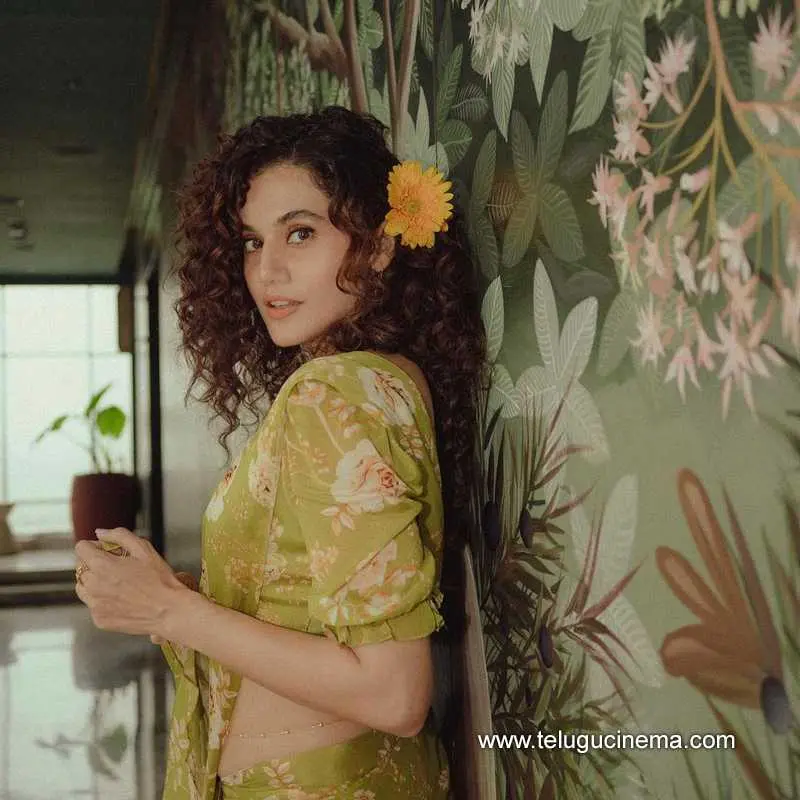 Tapsee Stills 260724 01