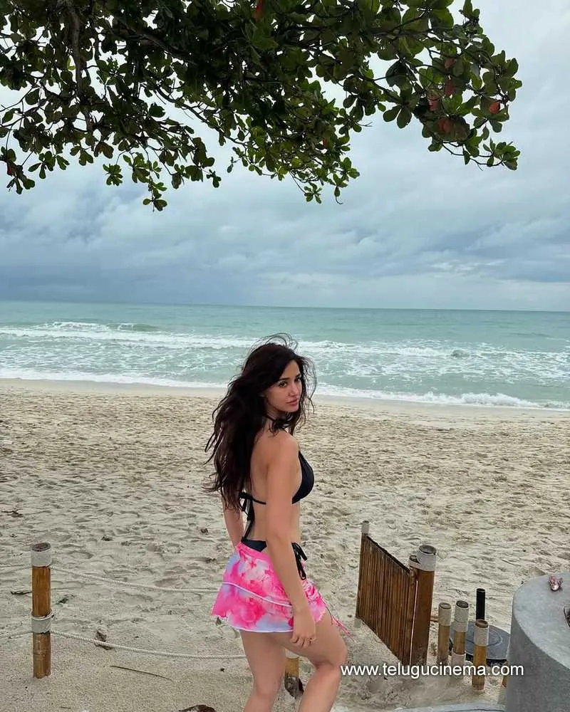 Disha Stills 141224 01