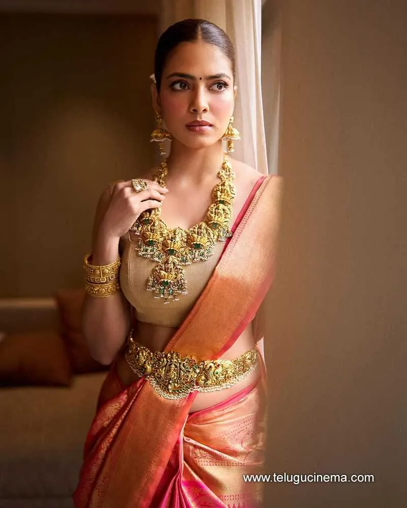 Malavika Stills 171224 01