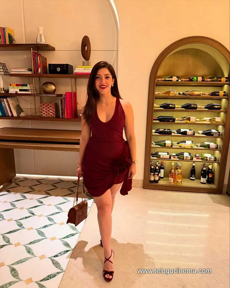 Mehreen Stills 311224 01