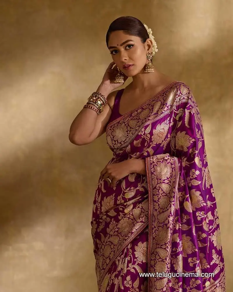 Mrinalini Stills 271224 01