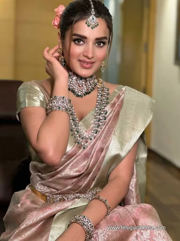Niddhi Stills 101224 01
