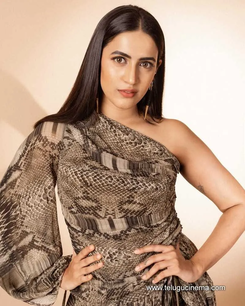 Niharika Stills 311224 01