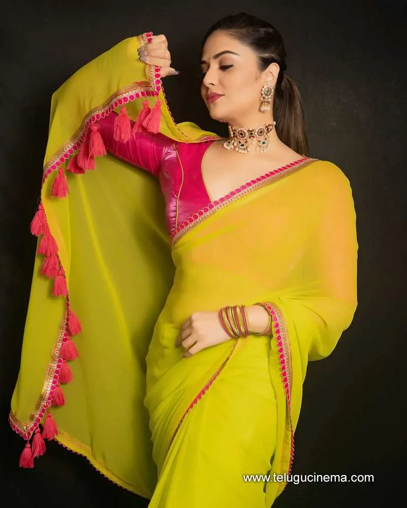Sreemukhi Stills 141224 01