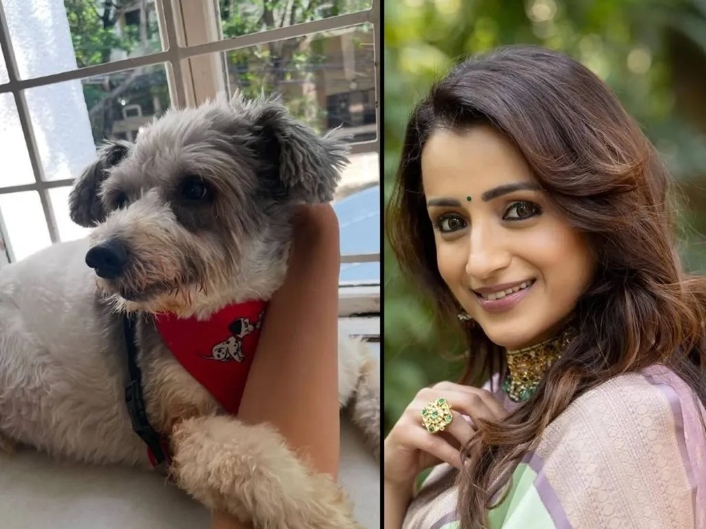 Trisha Petdog
