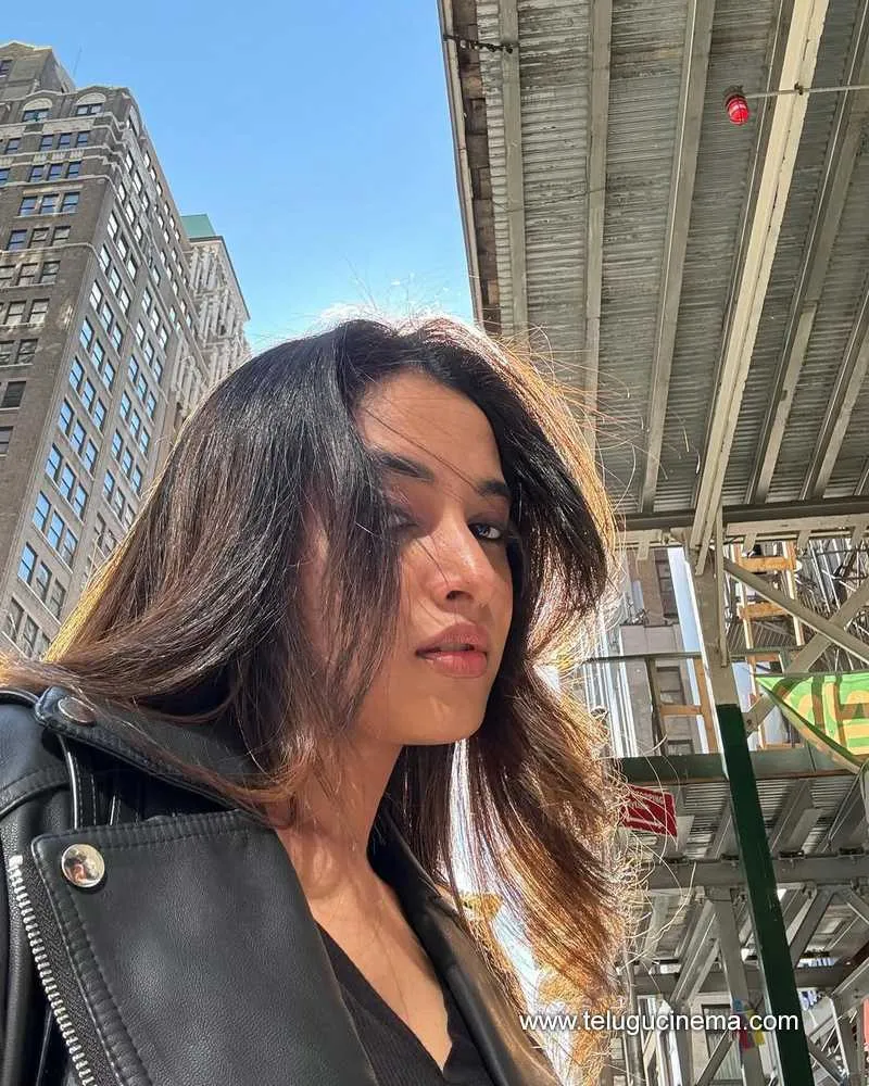 Priyanka Mohan Stilla 11012501