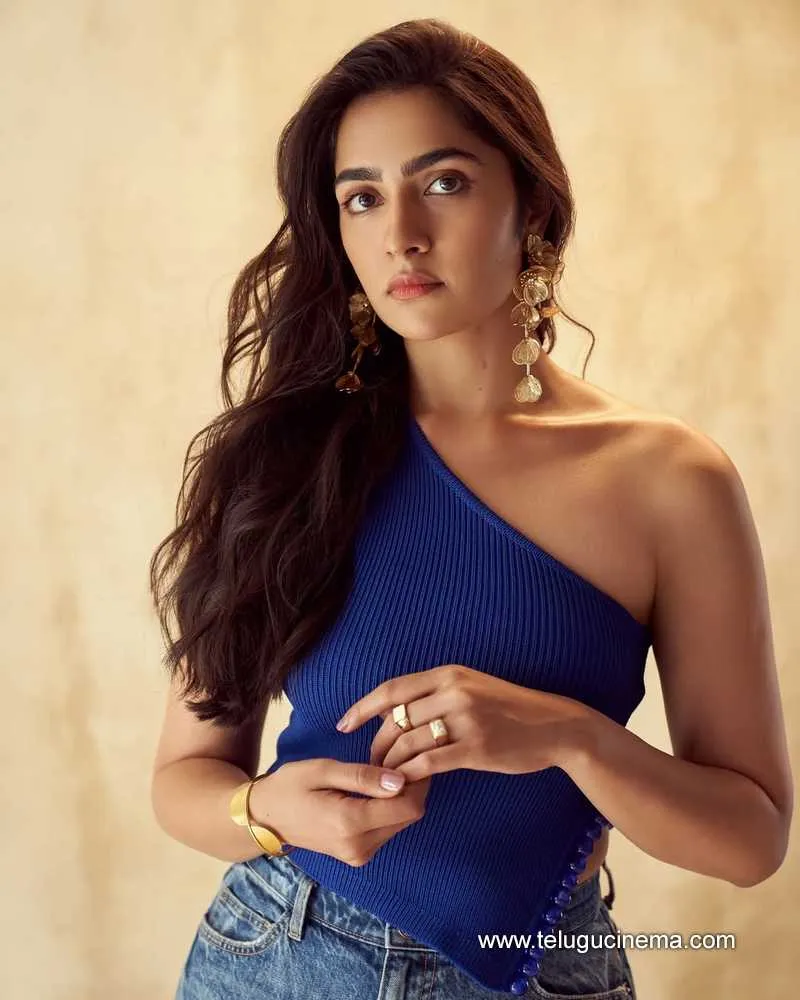 Rukmini Stilla 08012501