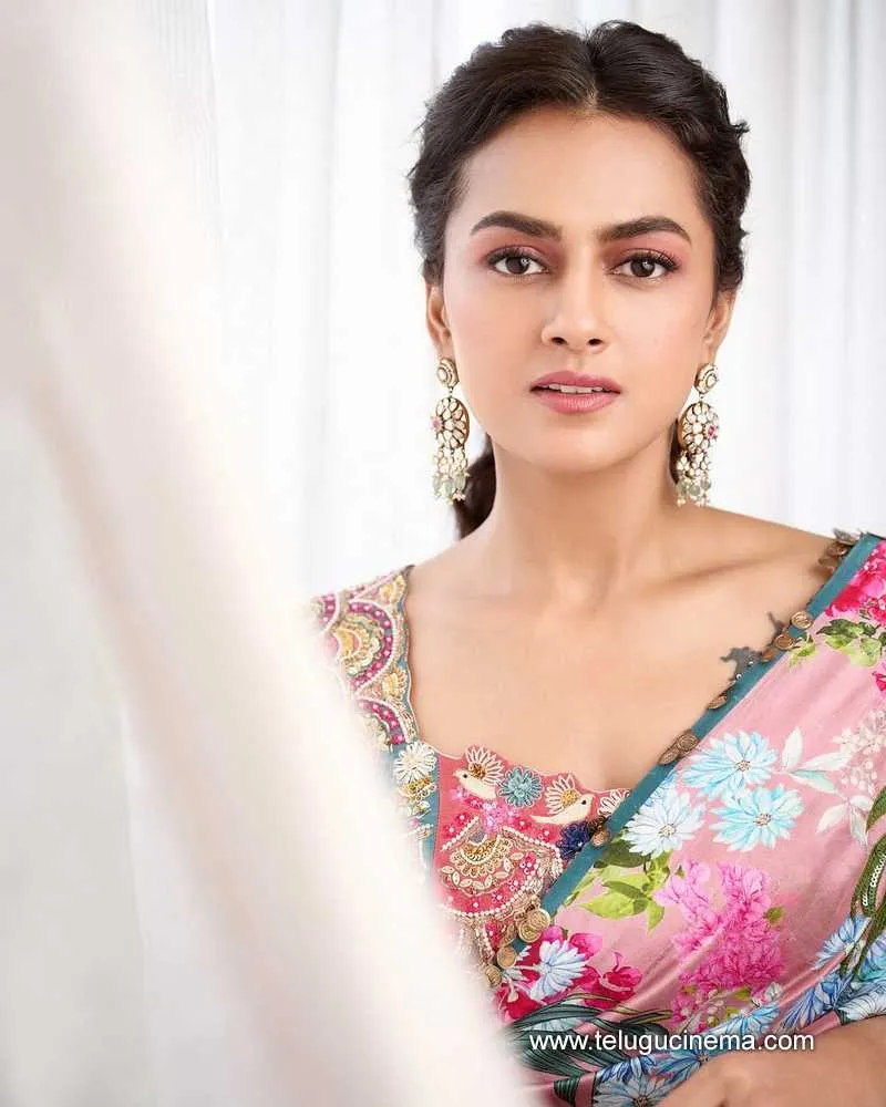 Shraddhasrinath Stilla 18012501