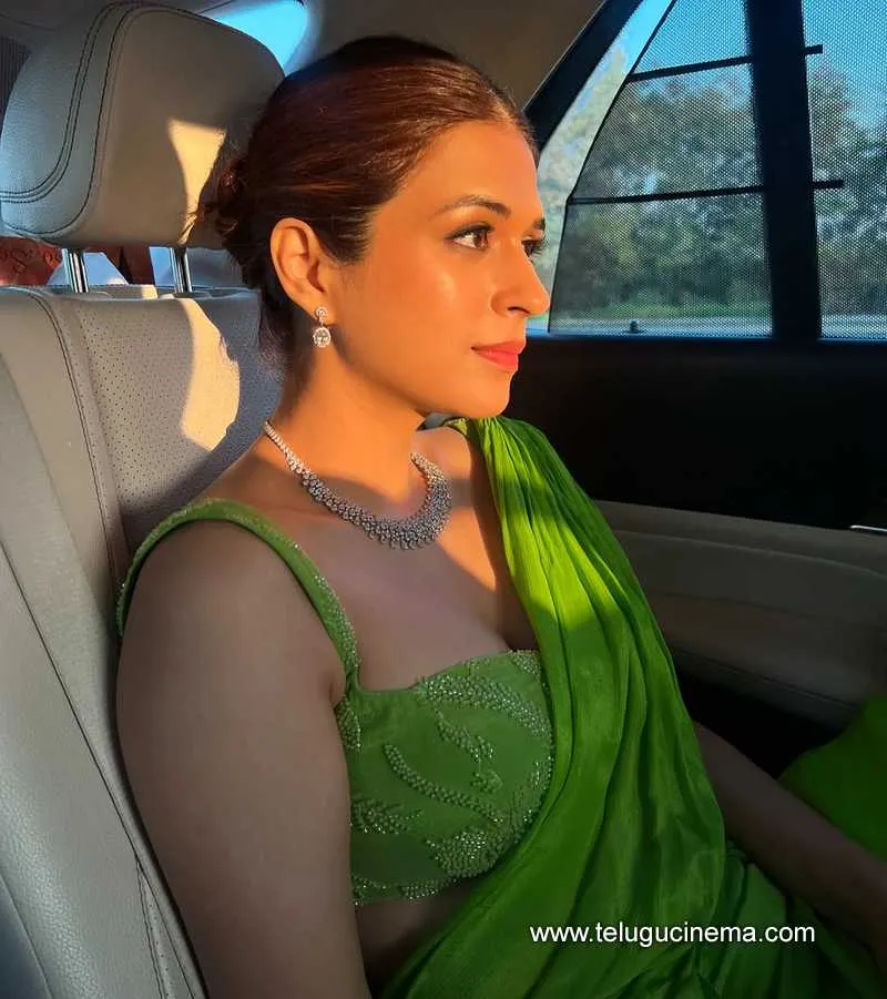 Shraddhjadas Stilla 06012501