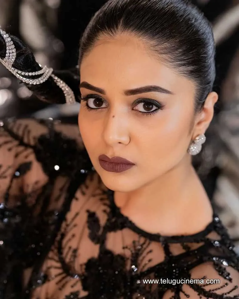 Sreemukhi Stilla 03012501