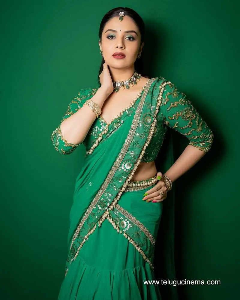 Sreemukhi Stilla 06012501