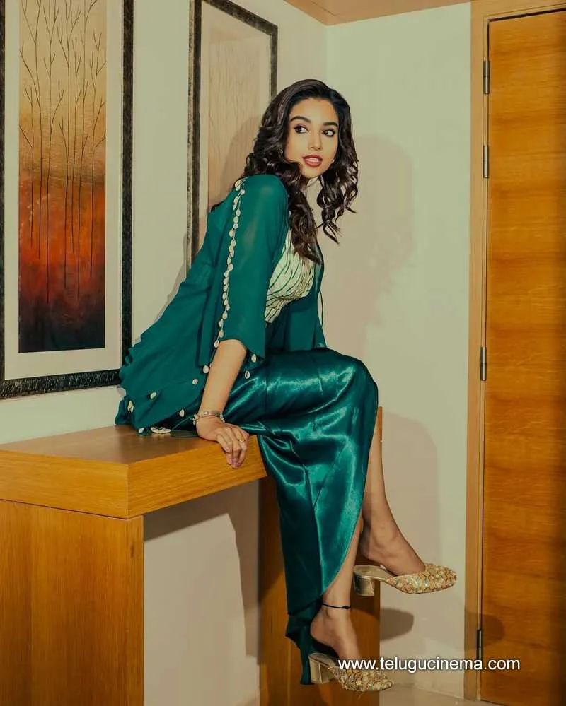 Meenakshi Still 17522501