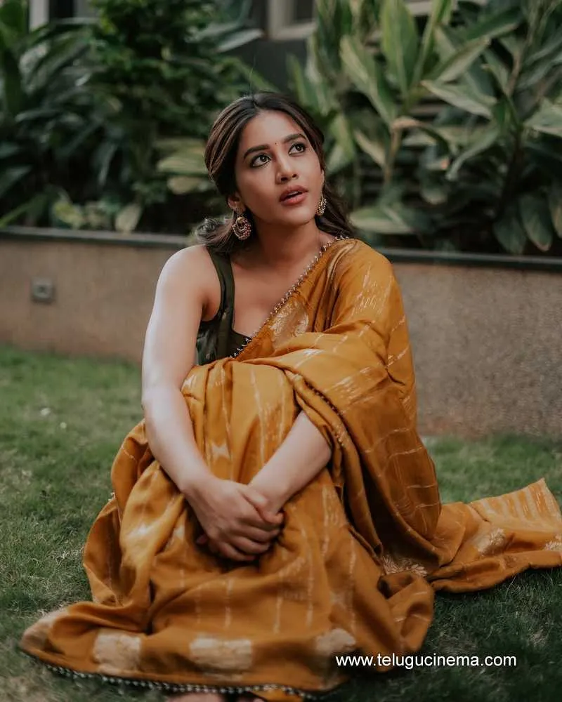 Nabhanatesh Stills 27022501