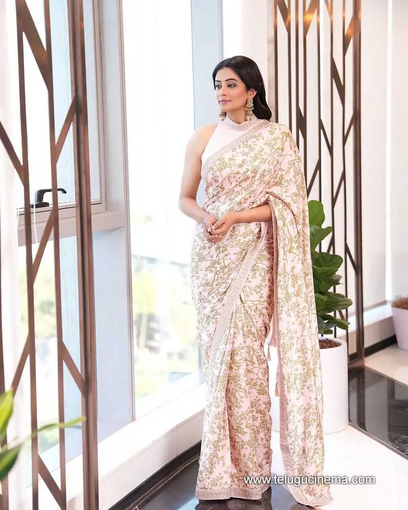 Priyamani Stills 19022501