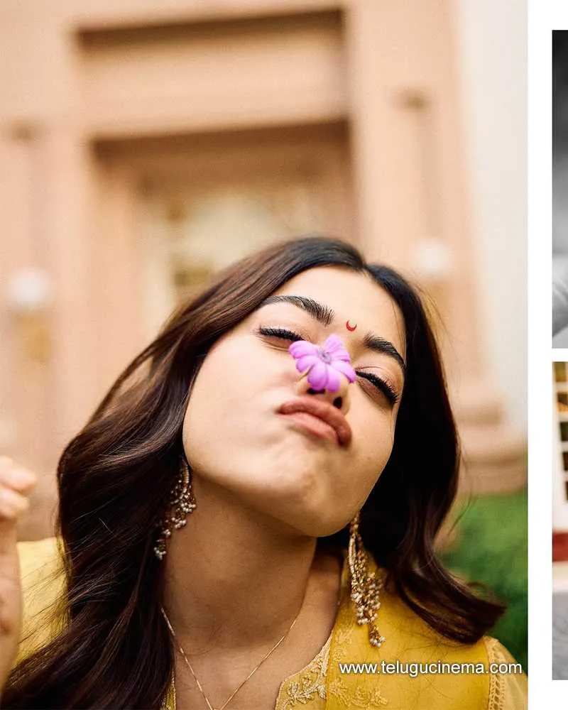 Rashmika Stills 28022501