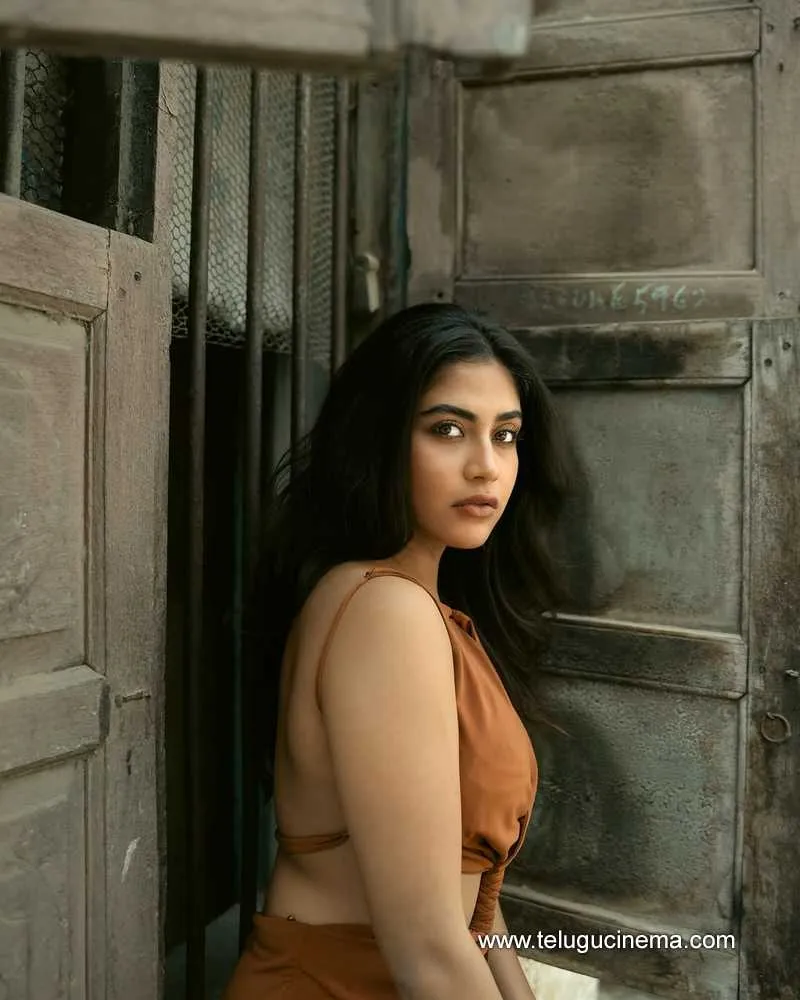 Sampada Still 03022501