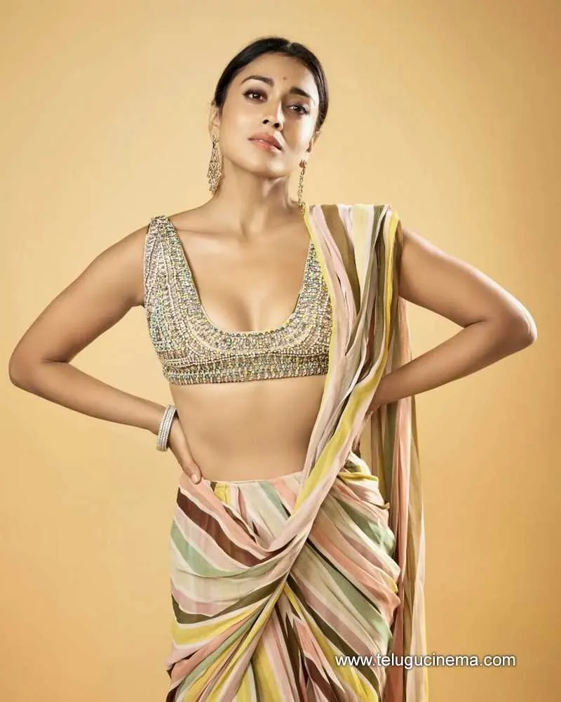Shriyasaran Still 045022501