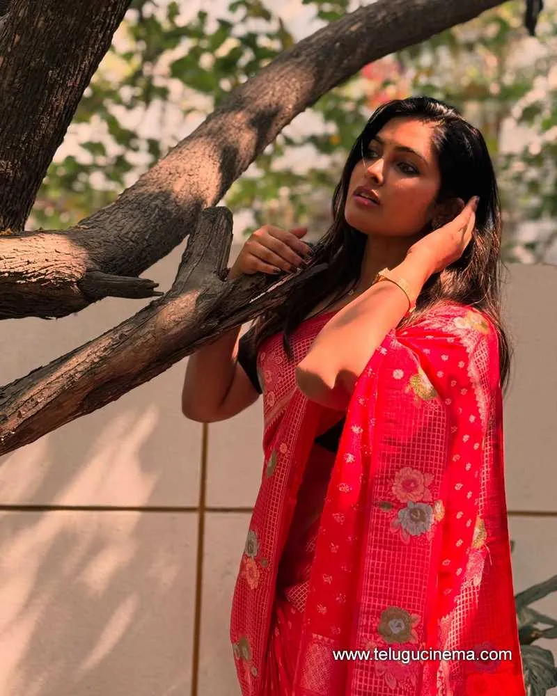 Divi Stills 11032501