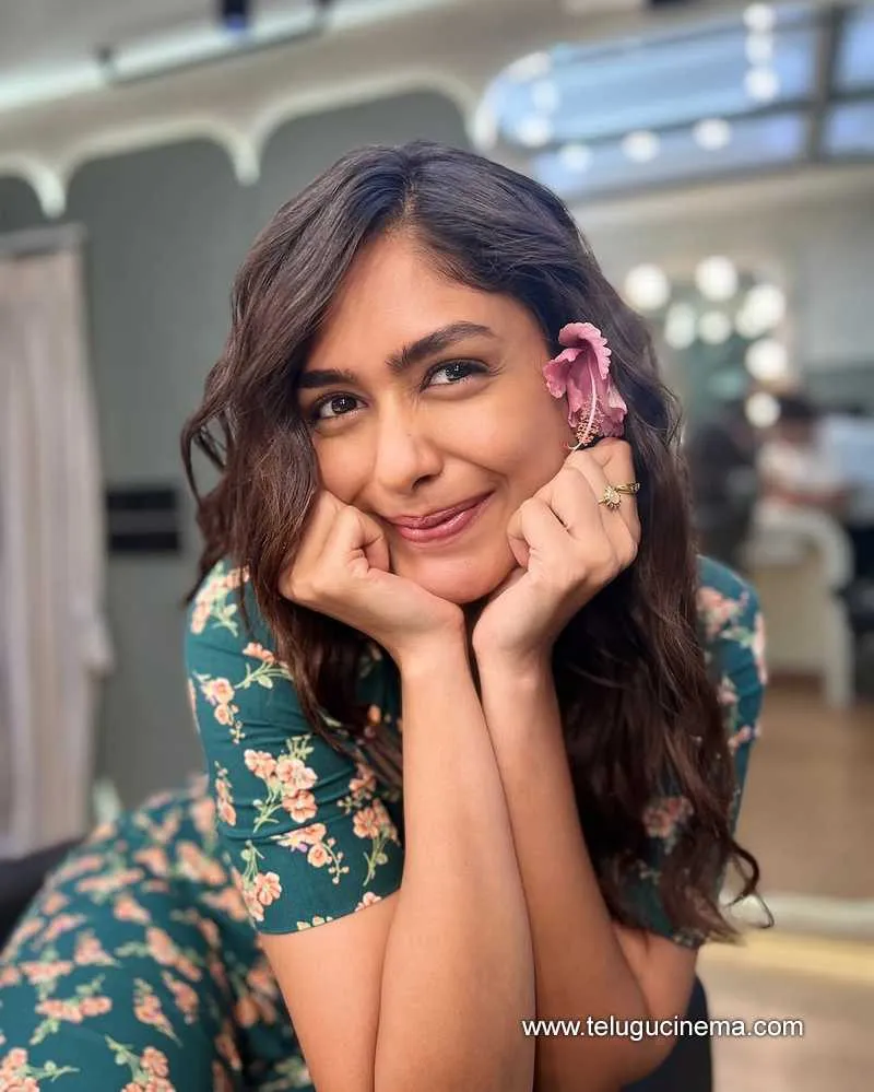 Mirnalini Stills 11032501