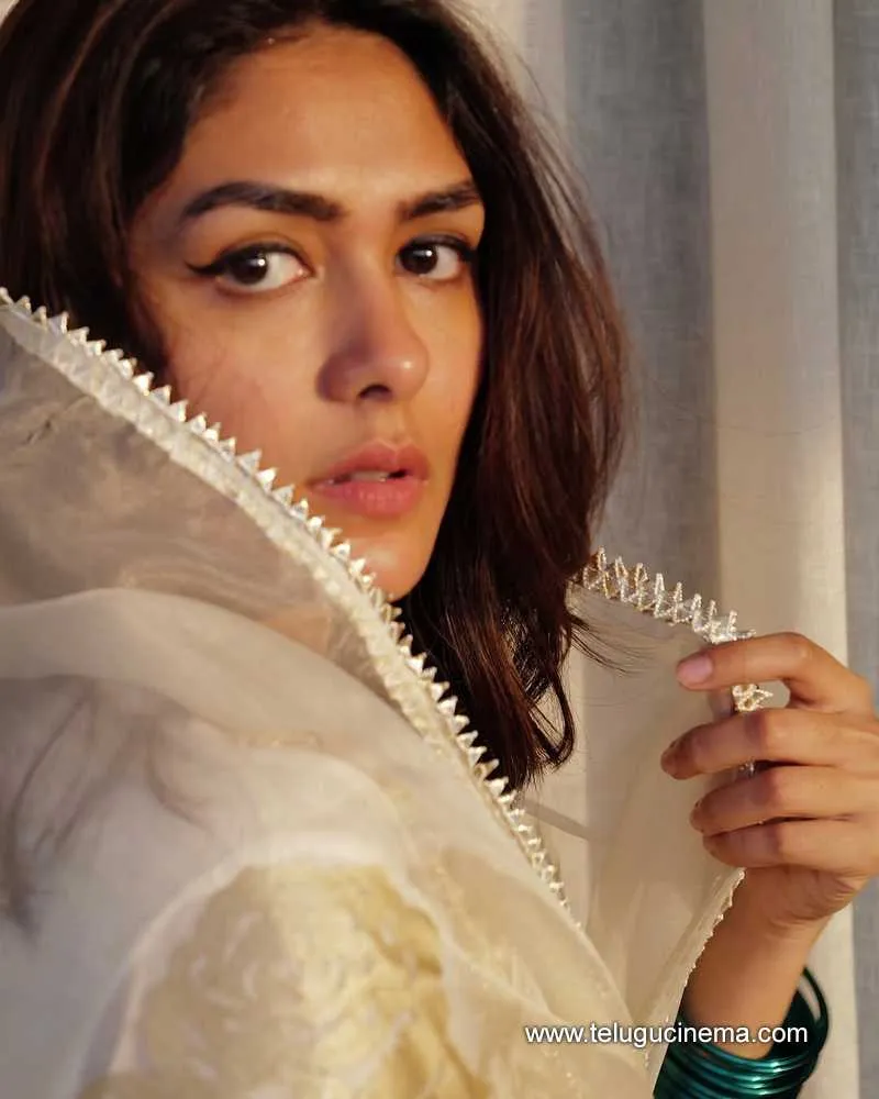 Mrunal Stills 04032501