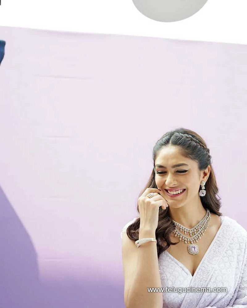 Mrunal Stills 18032501