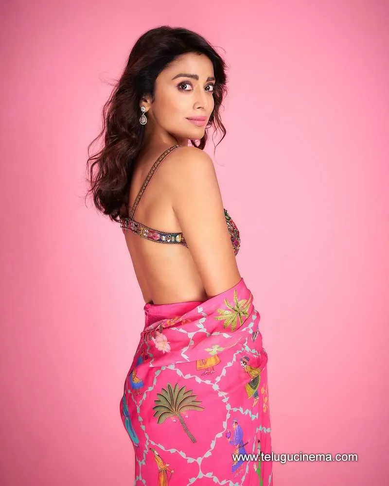Shriyasaran Stills 20032501