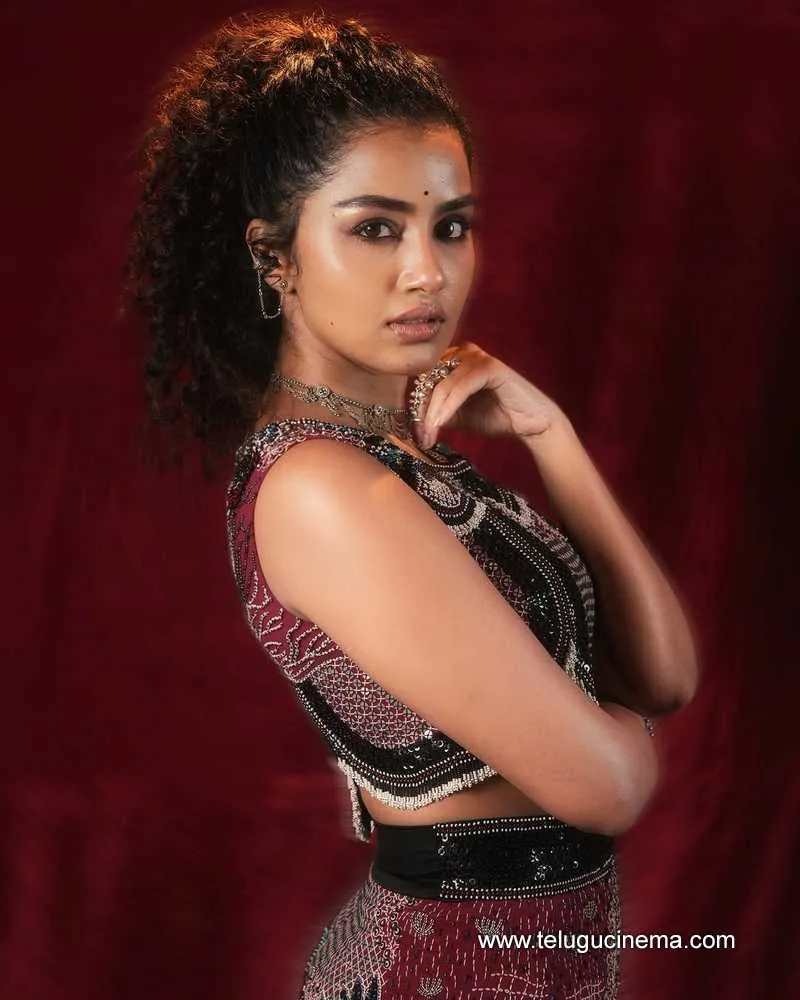 Anupama Stills 12042501