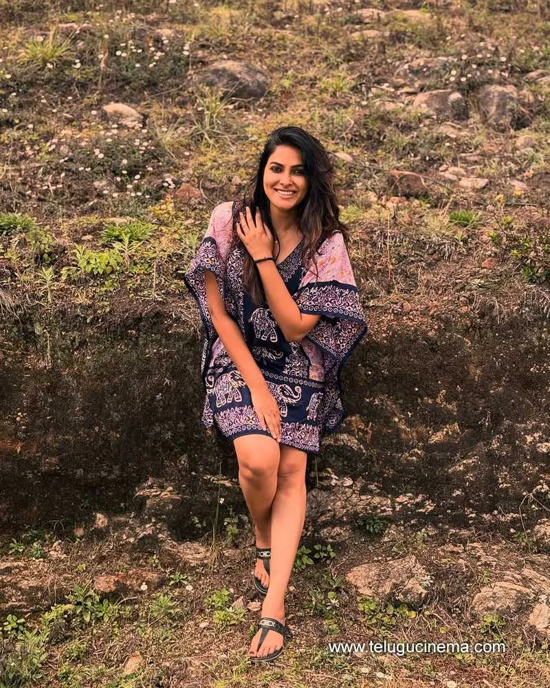 Divi Stills 04042501