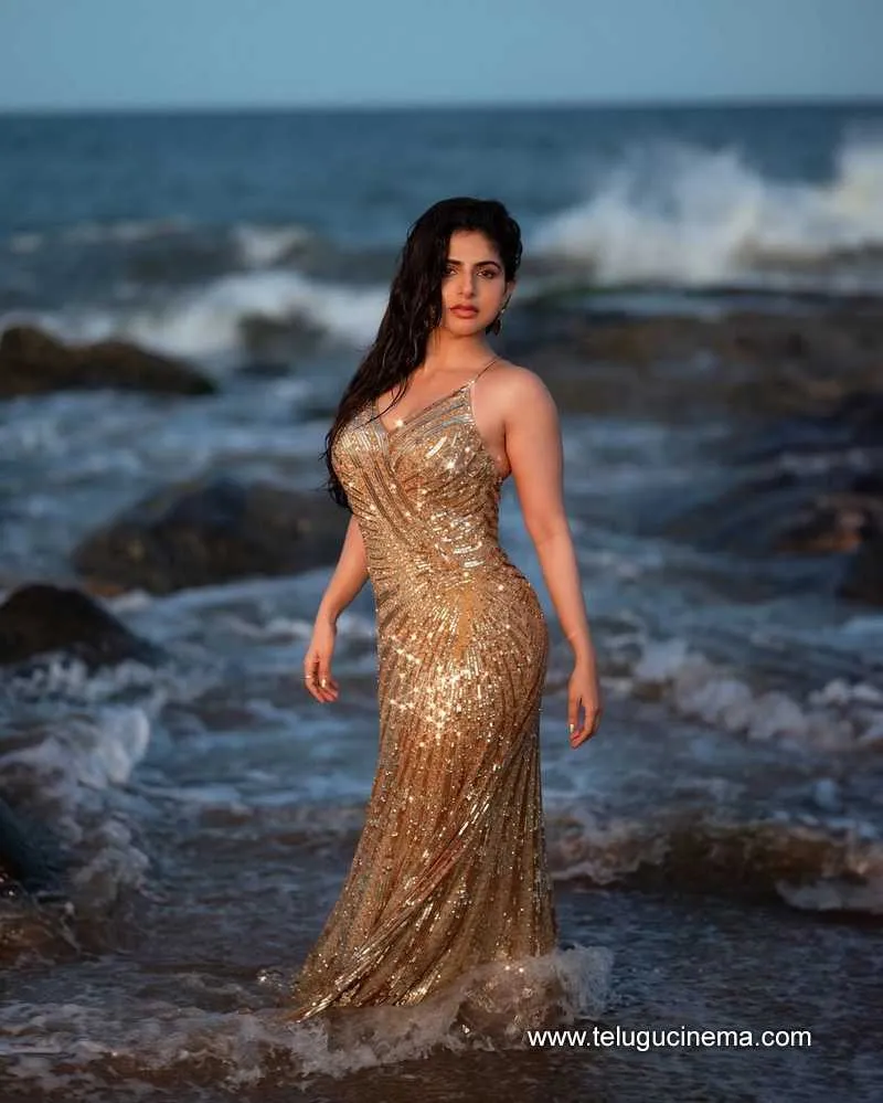 Iswarya Stills 14042501