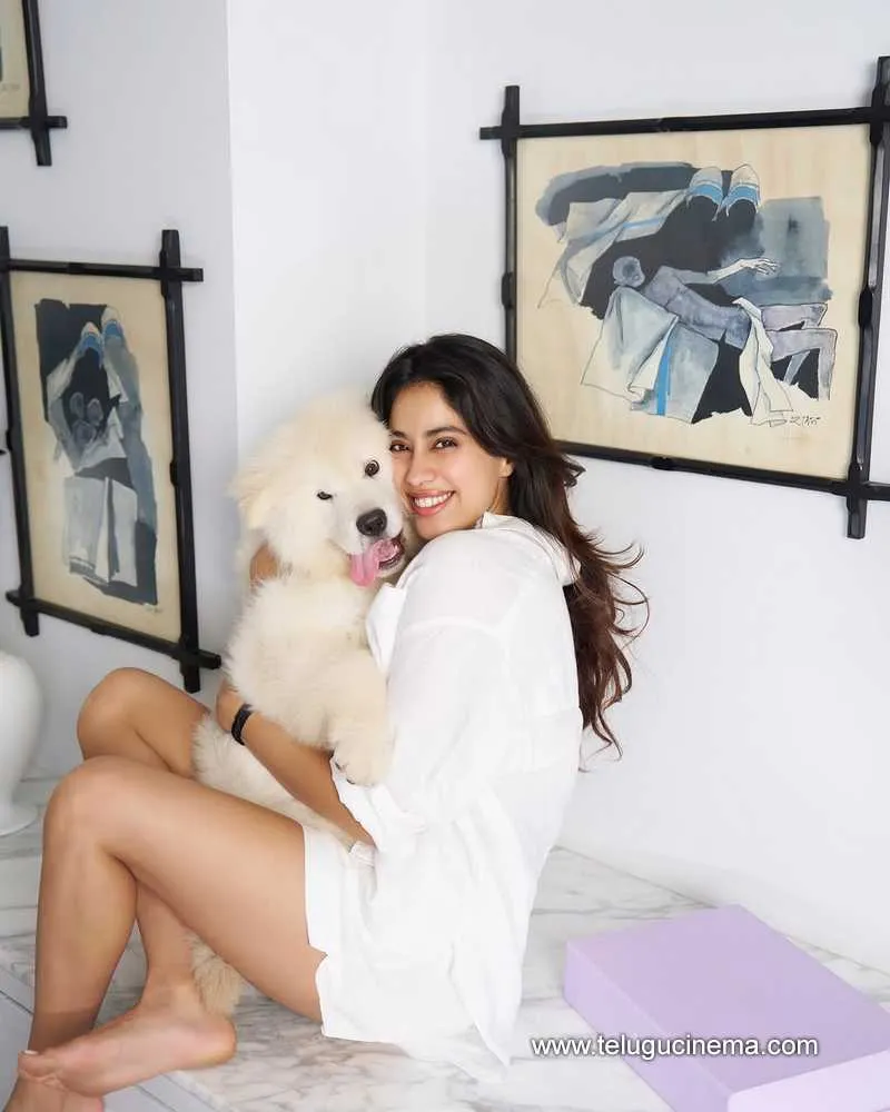 Jahnvi Stills 12042501