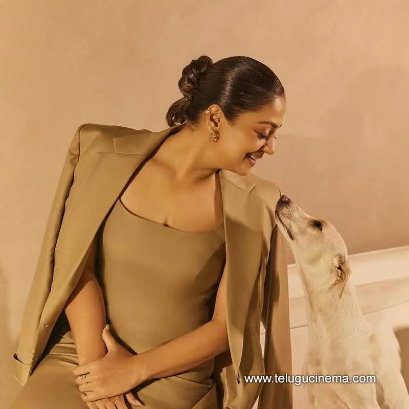 Jyothika Stills 02042501