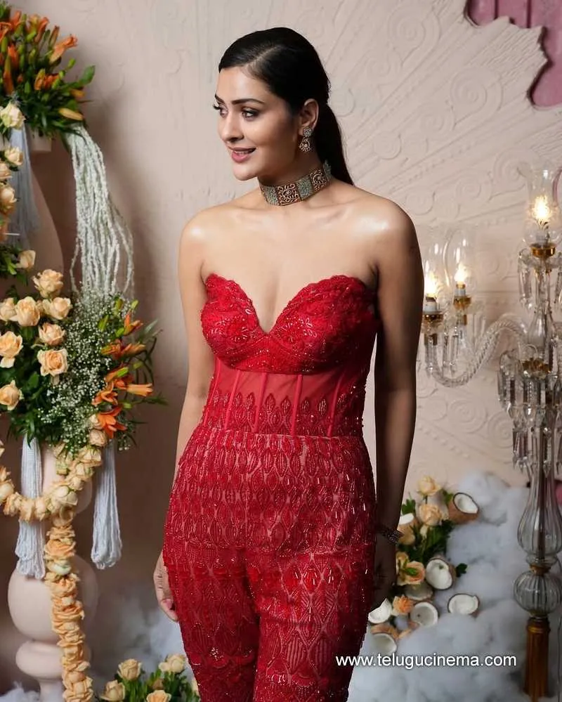 Payal Stills 14042501
