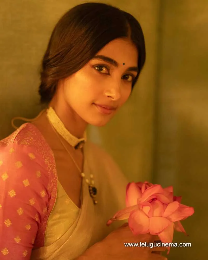 Pooja Stills 30042513
