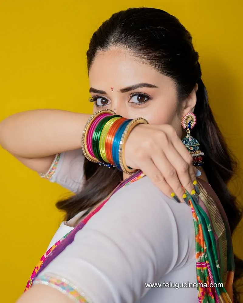 Sreemukhi Stills 11042501